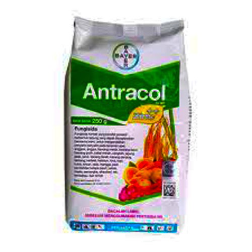 Antracol Fungisida 70wp 250g