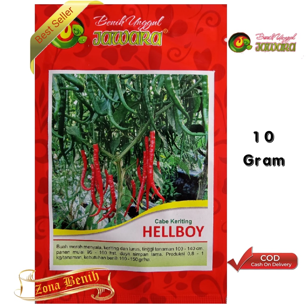 Bibit Cabe Keriting Unggul HELLBOY Isi 10 Gram | Benih Cabe Merah Keriting | Bibit Cabai Keriting