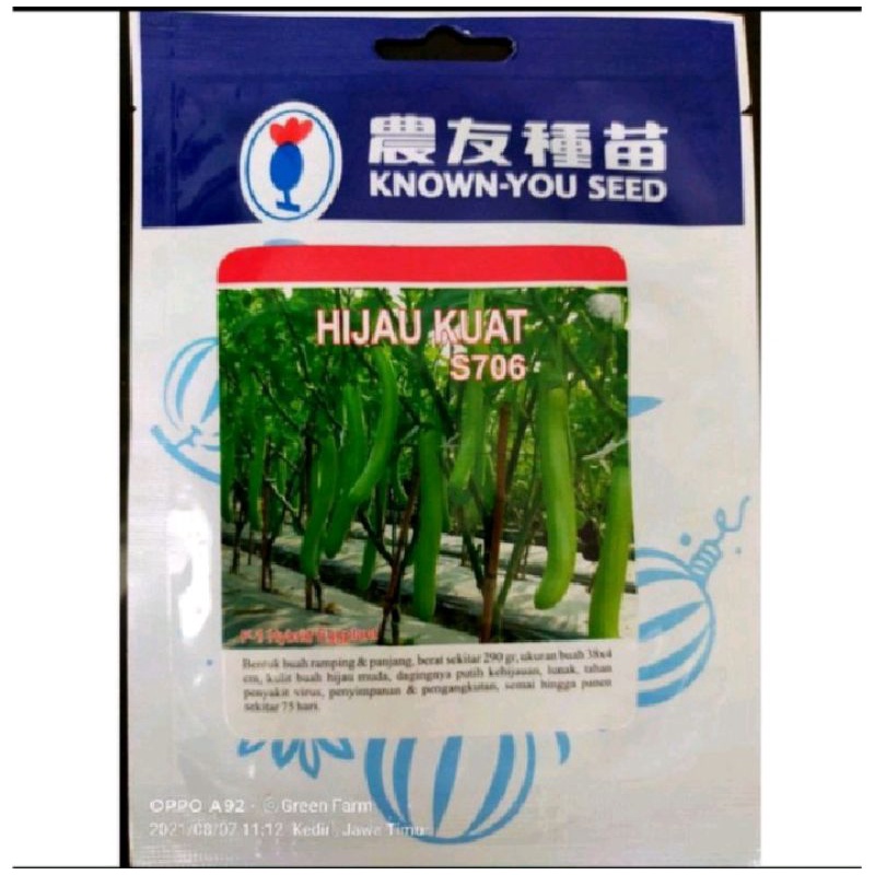 Terong Hijau Kuat Kemasan 5gr Original Pabrik