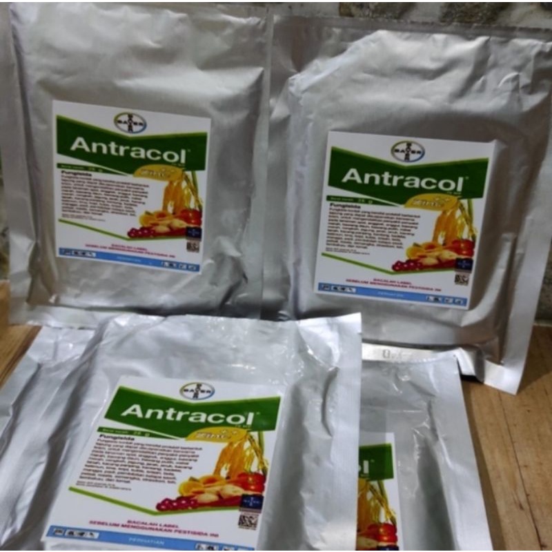 Antracol 70wp 250gram