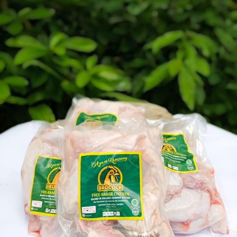 

Brocock - Ayam Kampung - Organik - free range chicken