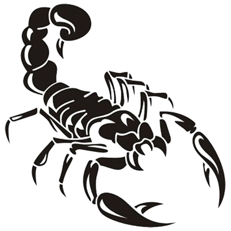 Stiker Vinyl Motif Kalajengking 3d Warna Hitam Ukuran 30cm Untuk Dekorasi Mobil Shopee Indonesia Berikut fakta tentang kalajengking yang tidak pernah kita tahu. stiker vinyl motif kalajengking 3d warna hitam ukuran 30cm untuk dekorasi mobil