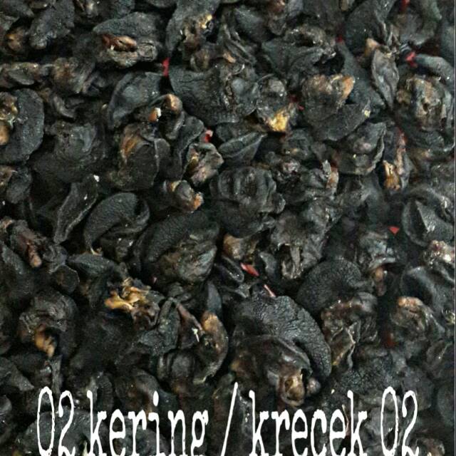 

Krecek Bekicot / Daging Bekicot 02 kering utuh 1kg