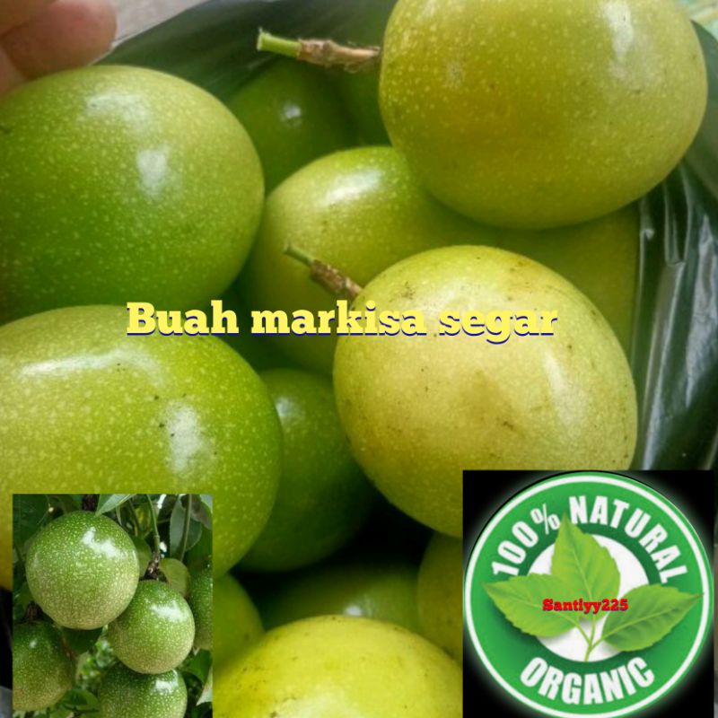 

harga termurah buah markisa segar
