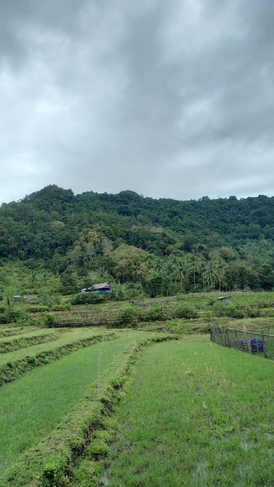 Tutup Keranda Kaligrapi Dibordir Temurah