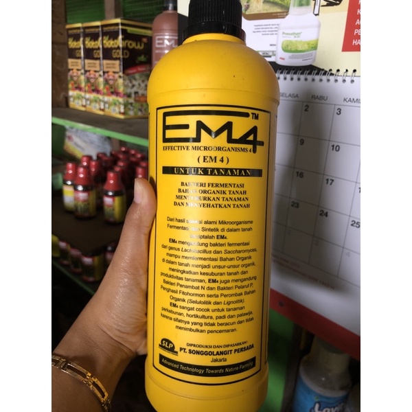 EM4 UNTUK TANAMAN