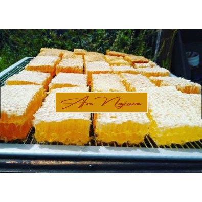 

MADU SARANG MURNI 500 GRAM