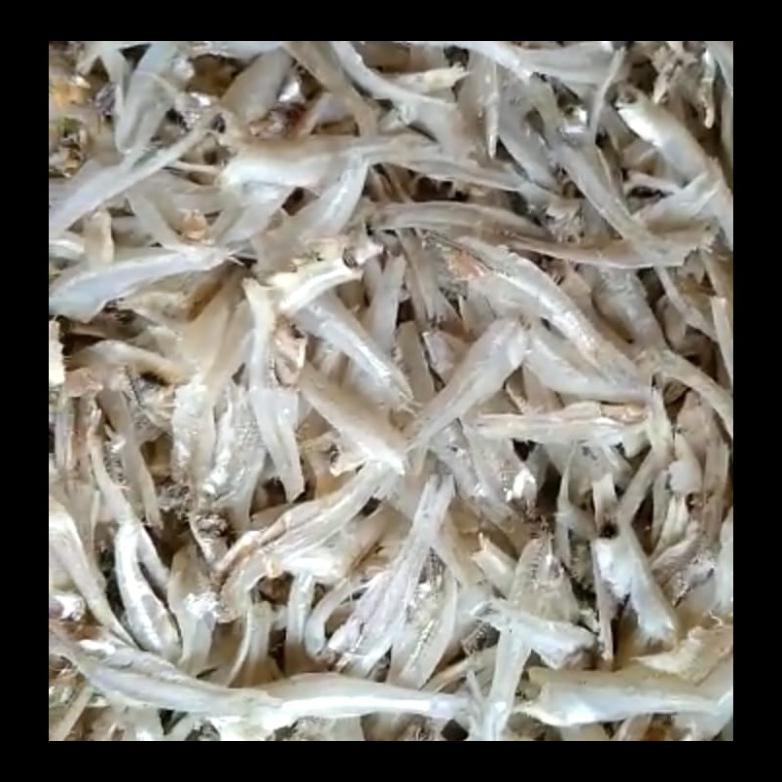 

SALE! IKAN ASIN TERI DAGING BELAH PER 1KG TERMURAH