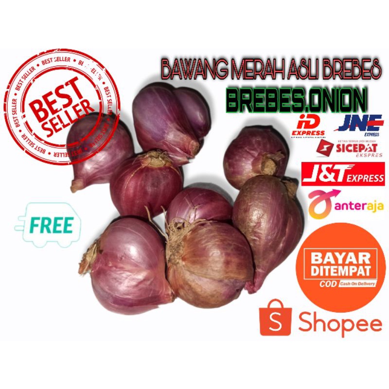 BAWANG MERAH asli brebes kecil/sedeng