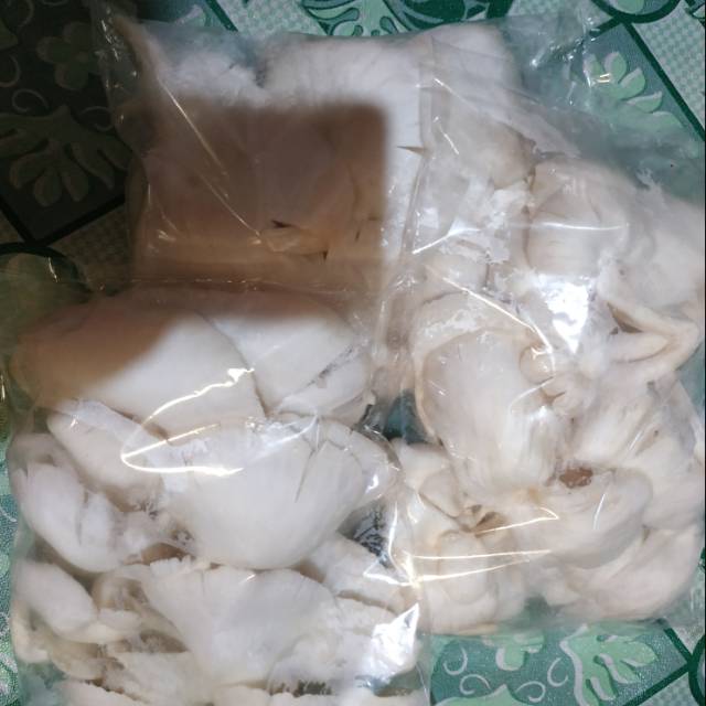 

Jamur tiram putih segar isi 250 gr