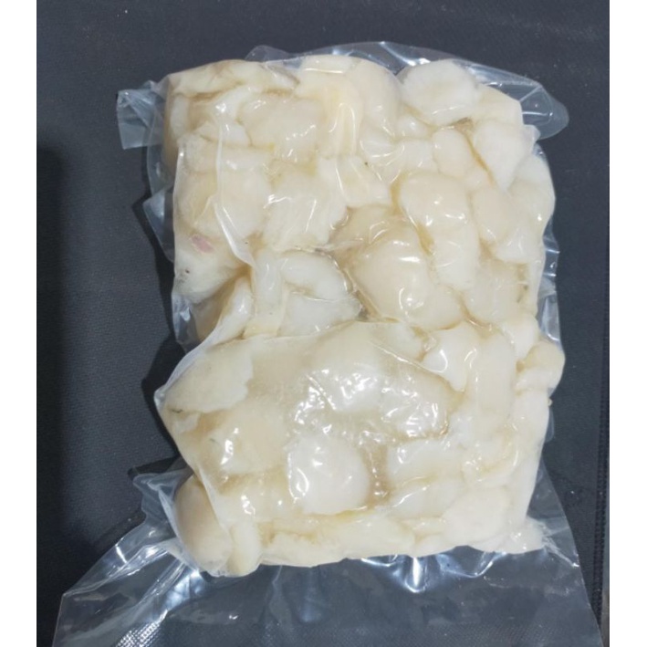 

daging kerang simping