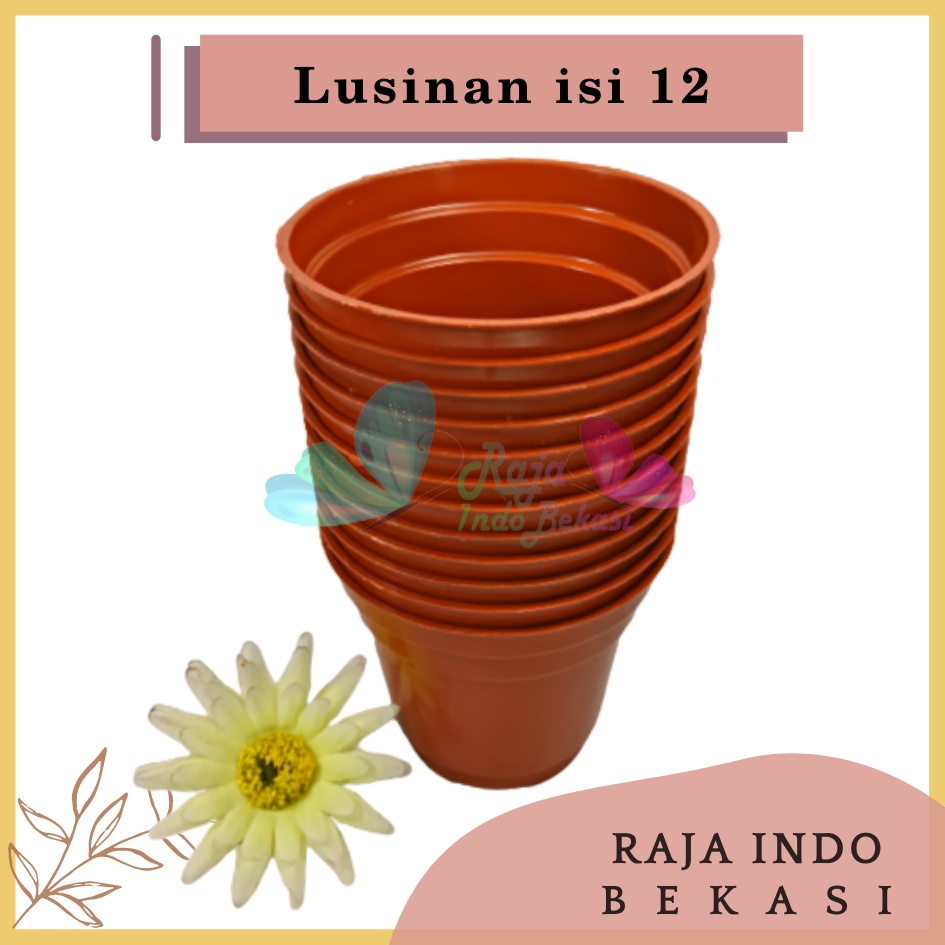 Lusinan Murah Pot Bunga 8cm Coklat Merah Bata Grosir Pot Tanaman Plastik 8 Cm Pot Kaktus 8CM Coklat Sekulen