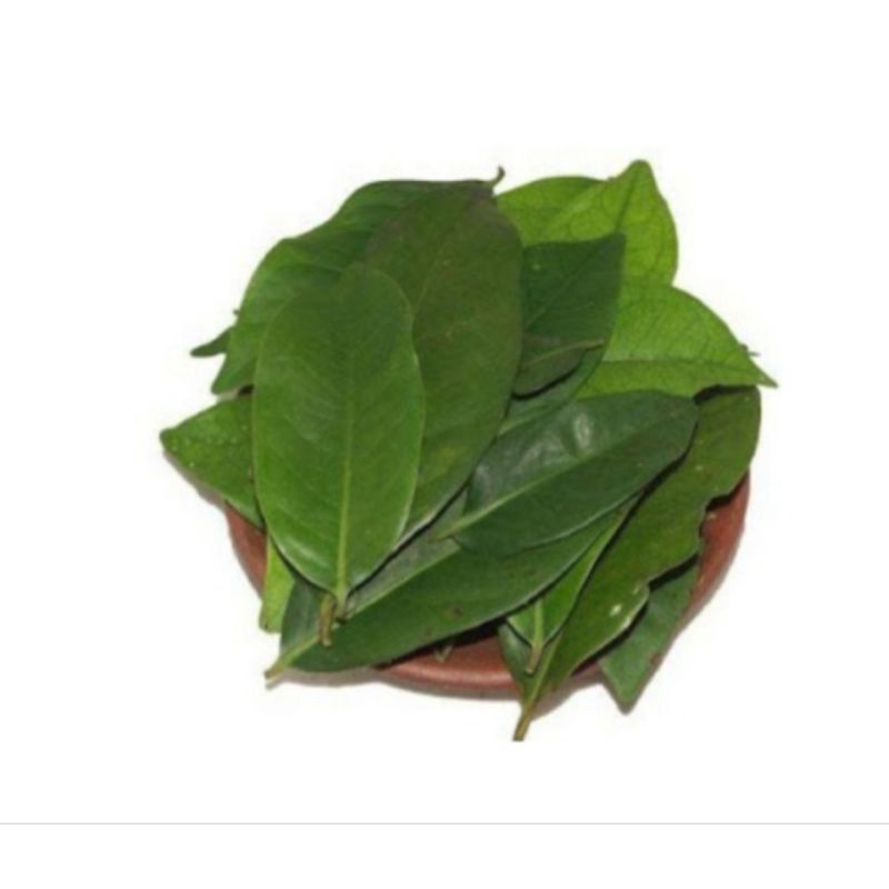 

Daun Salam Fresh 200gr