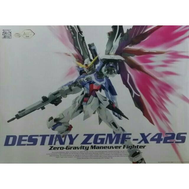 1/100 MG Gundam Destiny by Dragon Momoko