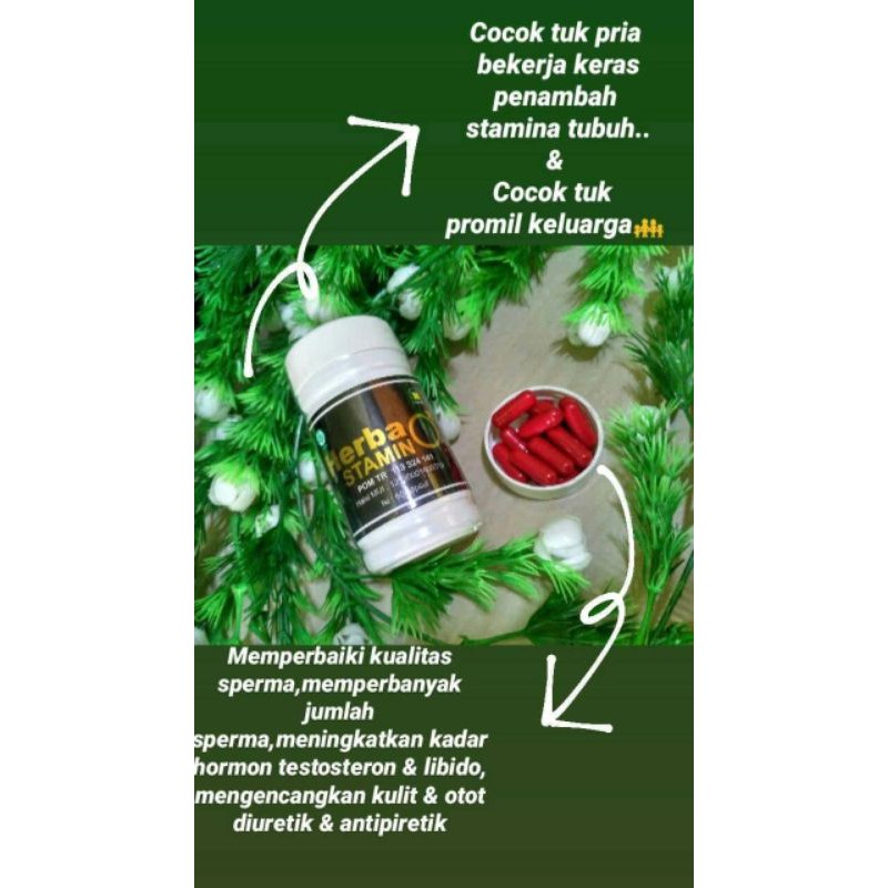 HERBASTAMIN UNTUK MENINGKATKAN GAIRAH STAMINA PRIA