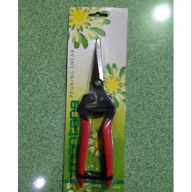 Gunting dahan lancip/stek batang