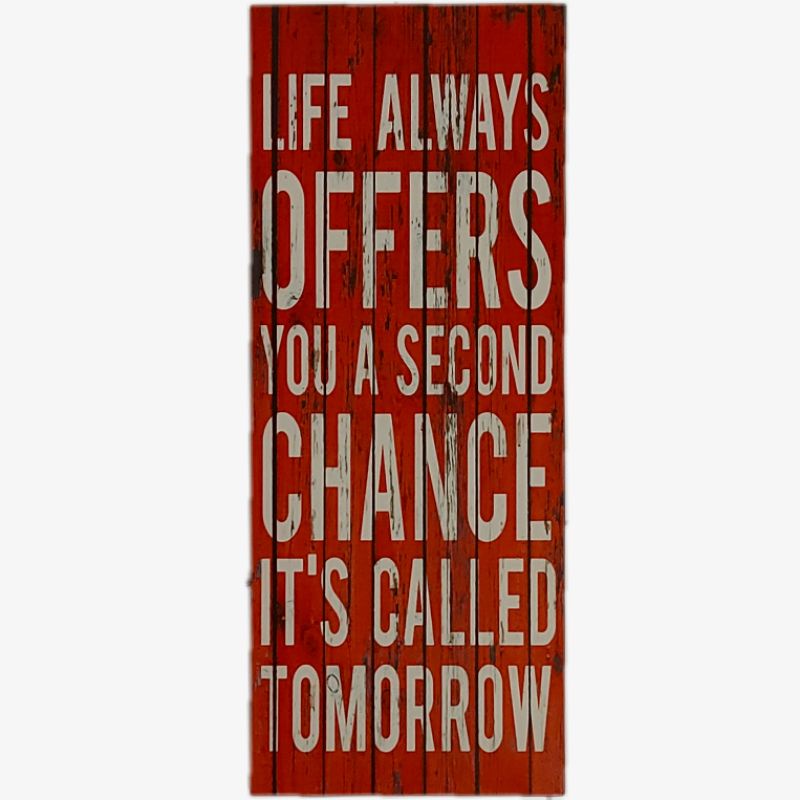 PAJANGAN HIASAN LIFE ALWAYS OFFERS YOU A SECOND CHANCE 20x2.5x50cm