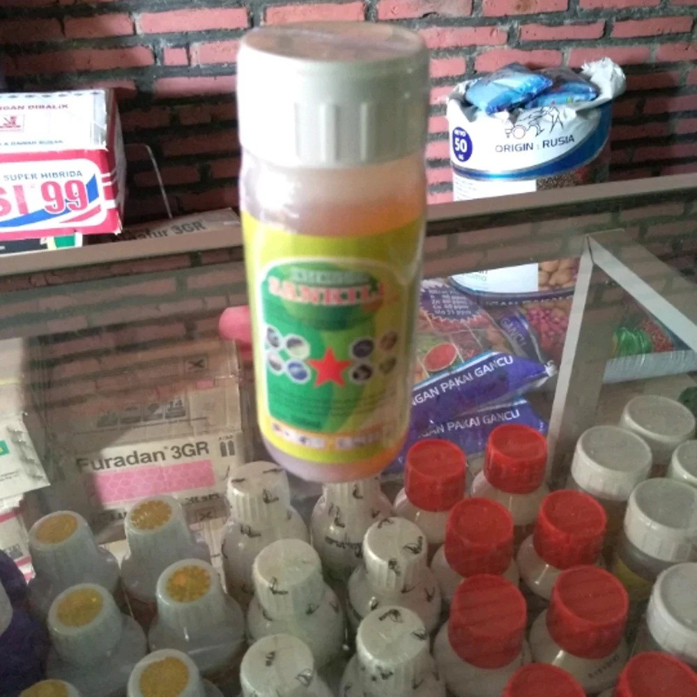 Sankill Sankil 100ml Obat Hama Ulat Grayak Kutu Kebul Kutu Putih