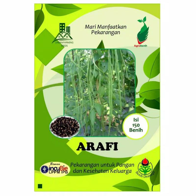 BENIH KACANG PANJANG ARAFI IPB (BUAH PANJANG DAN BESAR)
