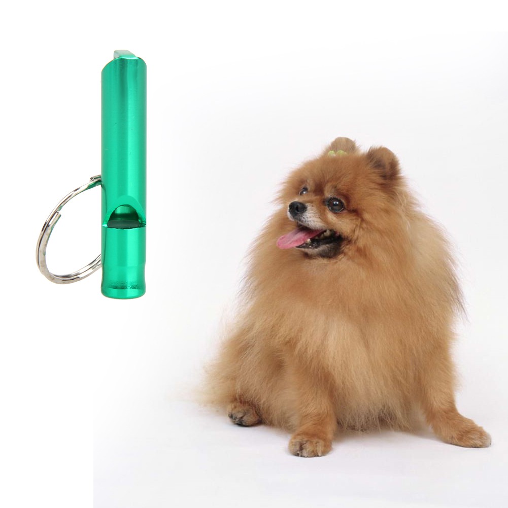 MOJITO Dog Whistle Keychain Pendant Keyring Pocket Pets Accessories Metal