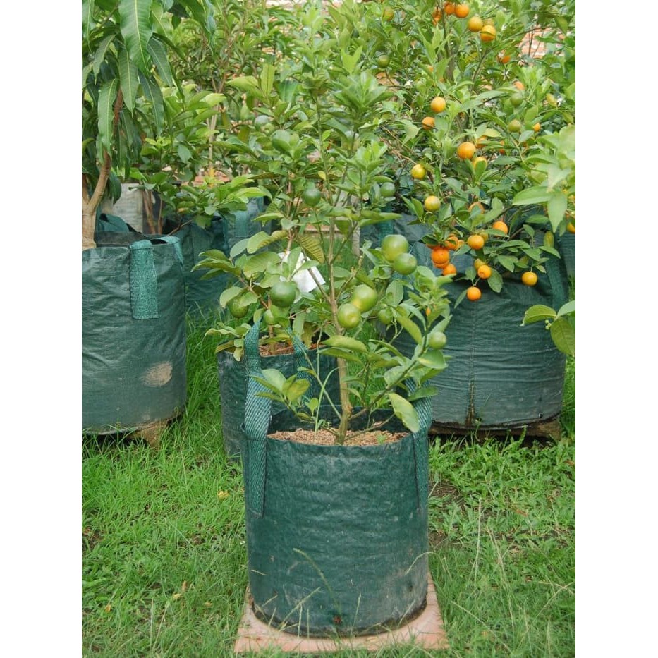 Planter Bag 30 Liter - 2 Handle