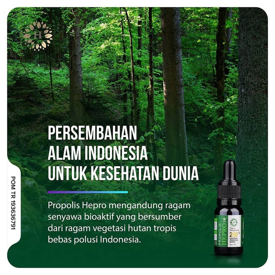 Hepro Propolis Trigona Asli Indonesia