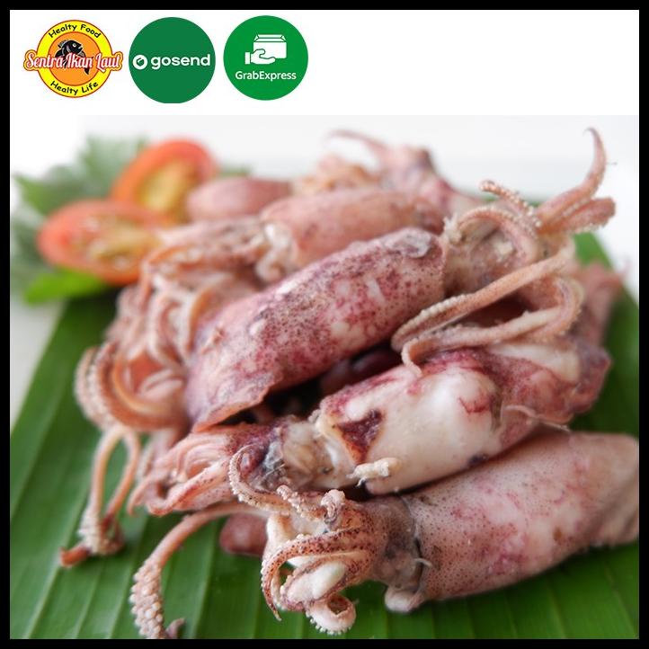 

Cumi Asin Basah / Cumi Asin Super / Cumi Asin Telur 500 Gram