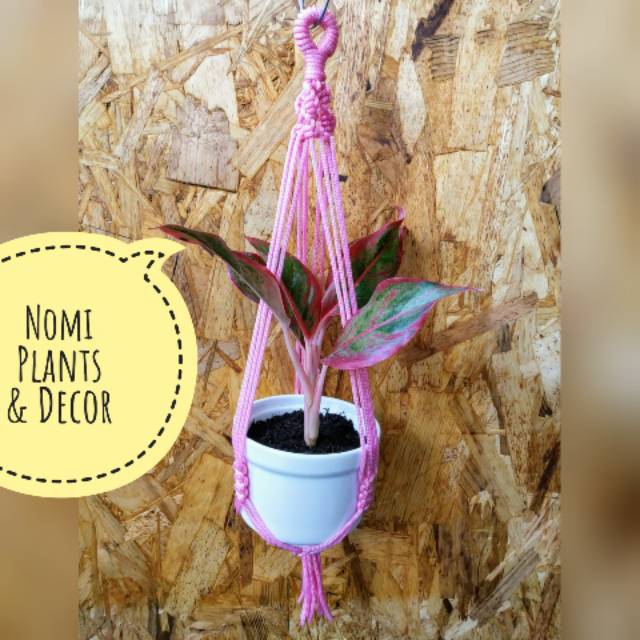  Makrame  Pot  Macrame Pot  Makrame  Tali Kur Shopee 