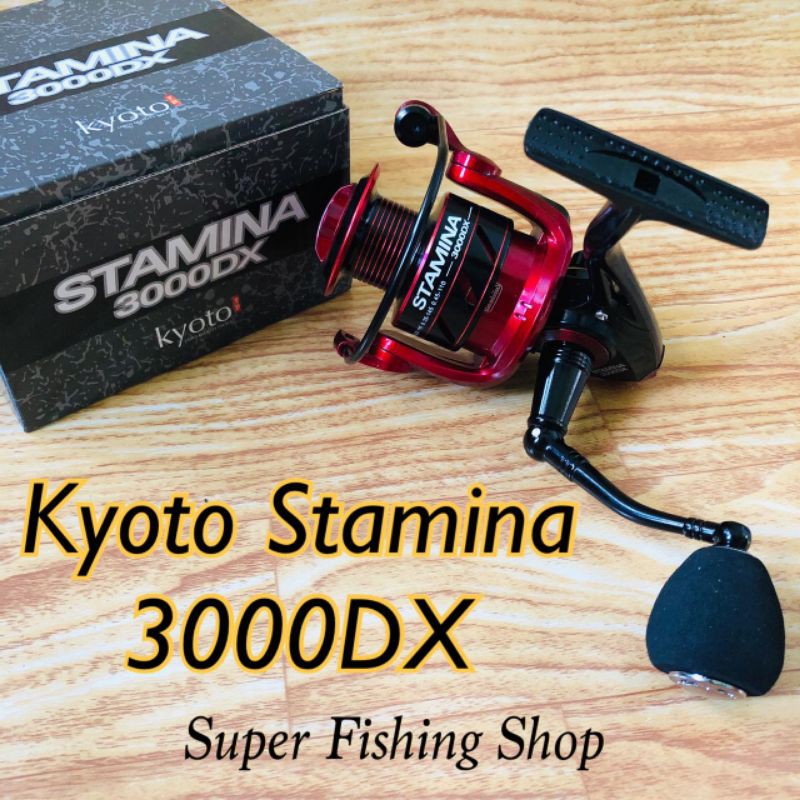 Reel Kyoto Stamina 3000DX