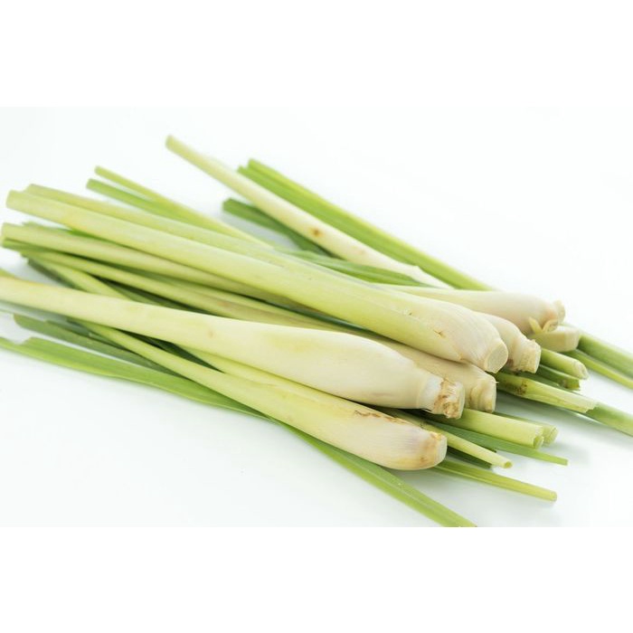 

SEREH / LEMONGRASS / LEMON GRASS FRESH