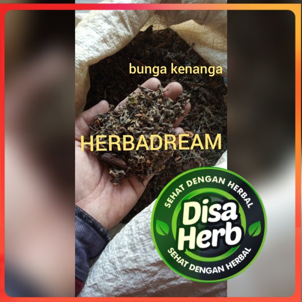 

BUNGA KENANGA KERING 100 GRAM - Cananga Odorata - MURNI - JSR - REMPAH