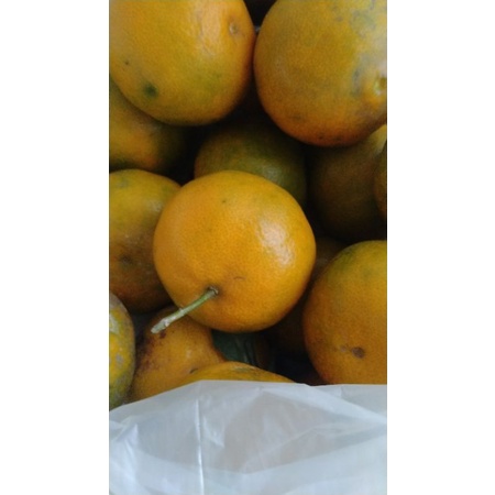 

Jeruk madu manis
