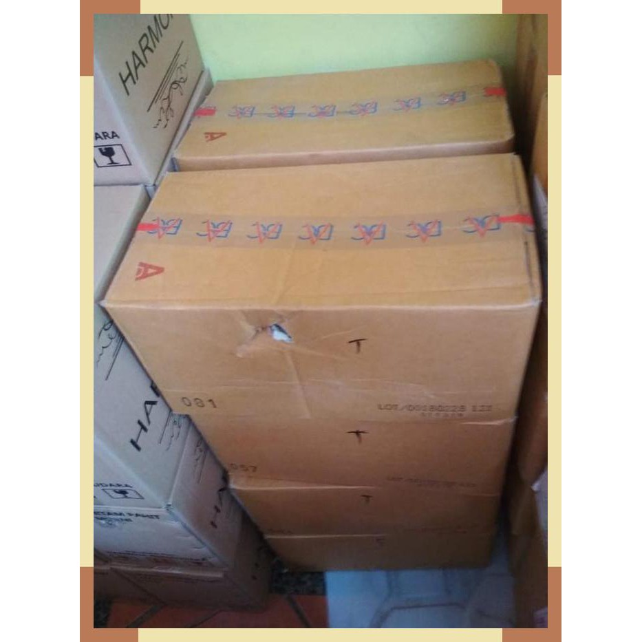 

1 DUS TSUBU SHIRATAKI