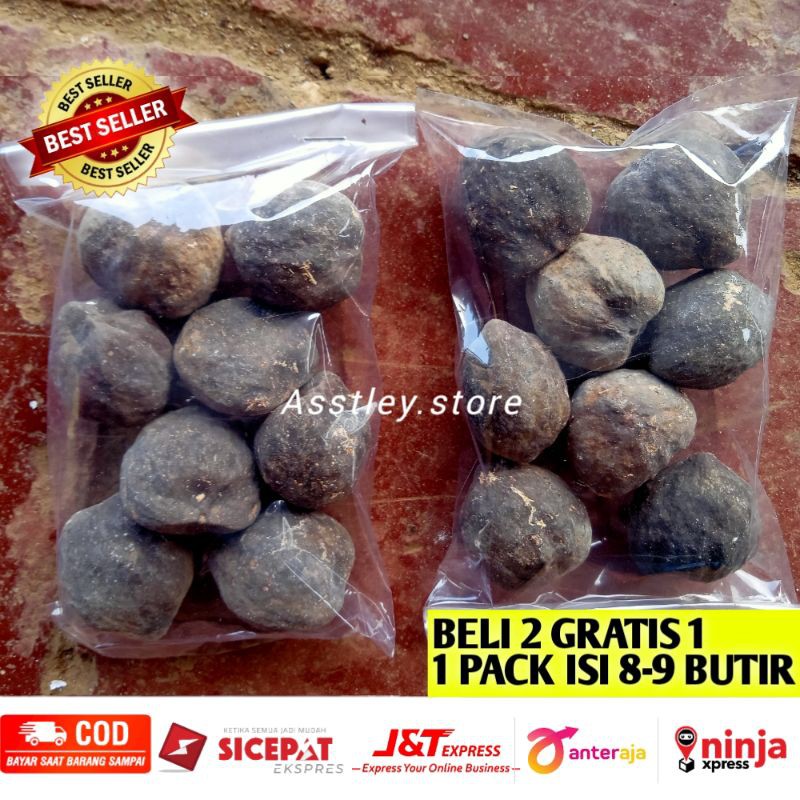 

Kemiri / Muncang Sayur Herbal 1 Pcs isi 8 Butir