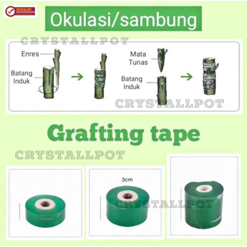 GRAFTING TAPE PLASTIK OKULASI CANGKOK SAMBUNG PUCUK 3 X 100 M - HIJAU