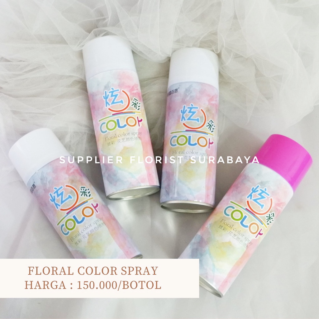 FLORAL COLOR SPRAY CEPAT KERING PENGUBAH WARNA BUNGA ASLI SEMPROTAN BUNGA CAT BUNGA PILOX PYLOX UNTUK BUNGA ASLI PEWARNA CAT BUNGA ASLI DESIGN MASTER