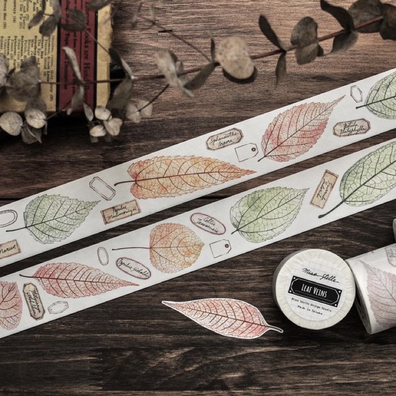 

[Sample] Miao Stelle Leaf Veins Washi Tape