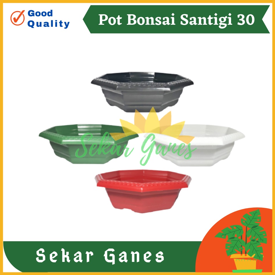 Pot Bonsai Santigi 30 Warna Warni Bonsai Segi 8 By Garden Of Love Pot Bonsai Kotak Ceper Kelapa