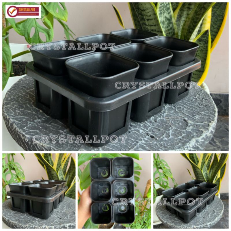 1 set Tray + POT BUNGA NKT KOTAK 7 CM HITAM | tray semai bibit