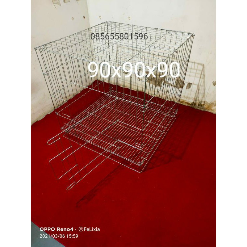 kandang ayam bangkok