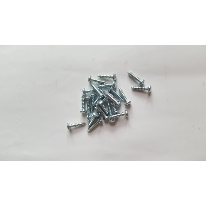 Sekrup PH 4 x 1/4" 100 pcs