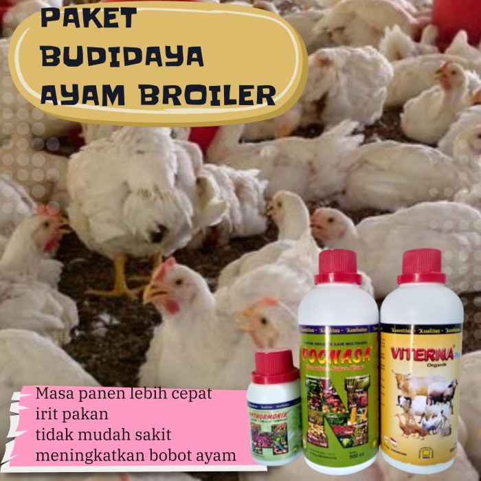 Viterna vitamin Ternak Penambah Napsu Makan Ayam Boiler / Paket Vitamin Ternak Nasa Untuk Hewan Ayam