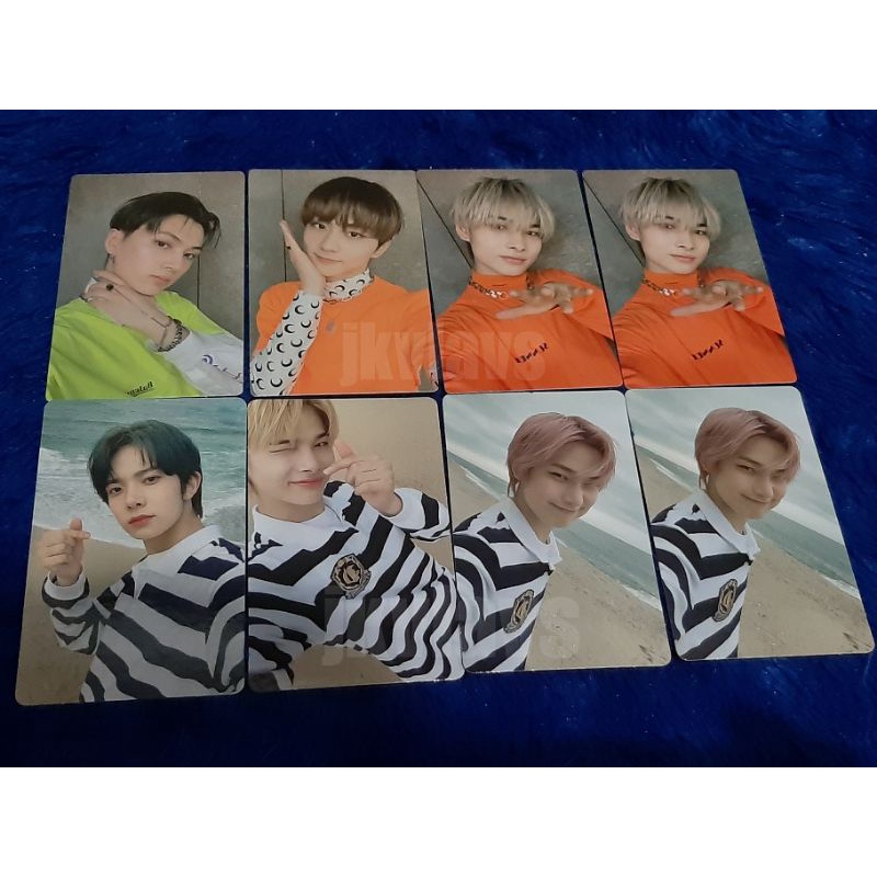 [READY] OFFICIAL ENHYPEN PHOTOCARD BENE FEVER TAMED-DASHED TD JUNGWON HEESEUNG JAY SUNOO NI-KI CHARY