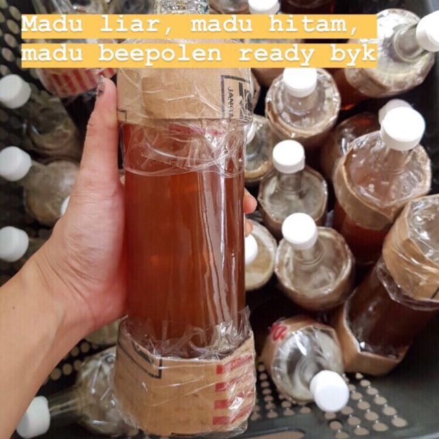 

MADU HUTAN/ LENGKENG ASLI TANPA CAMPURAN