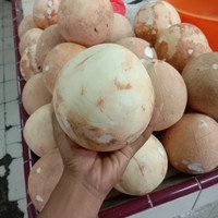 

Kelapa Utuh/ Kelapa Parut/ Kelapa Tua Santan/ Kelapa Muda Urap/ Kelapa Muda