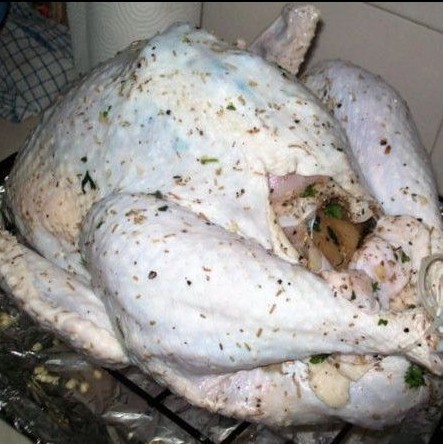 

Daging Kalkun Utuh - 1 Ekor Kalkun Utuh - Kalkun Ungkep - Kalkun 1 ekor Utuh Fresh