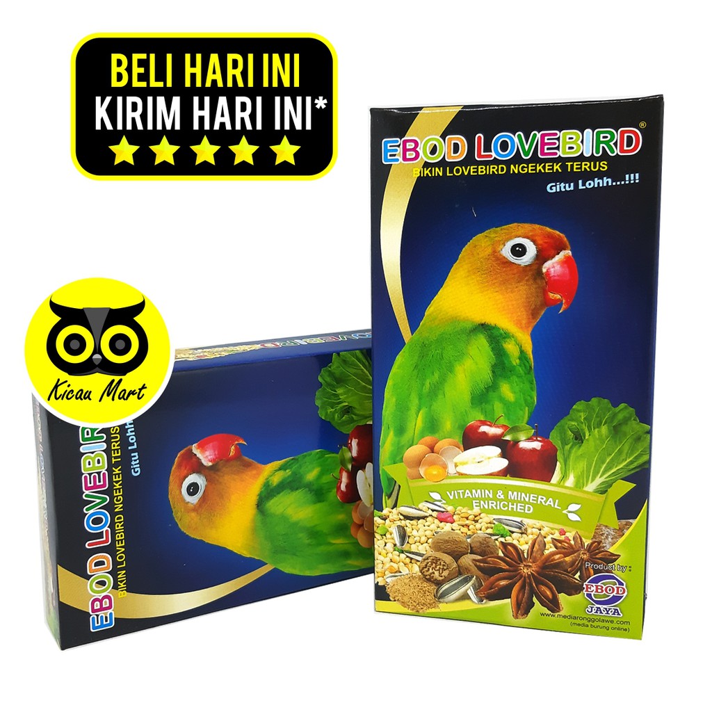 PAKAN MAKANAN HARIAN BURUNG LOVEBIRD KEMASAN KOTAK EBOD JAYA BIJI BIJIAN MILET MILLET PKLBDEJ