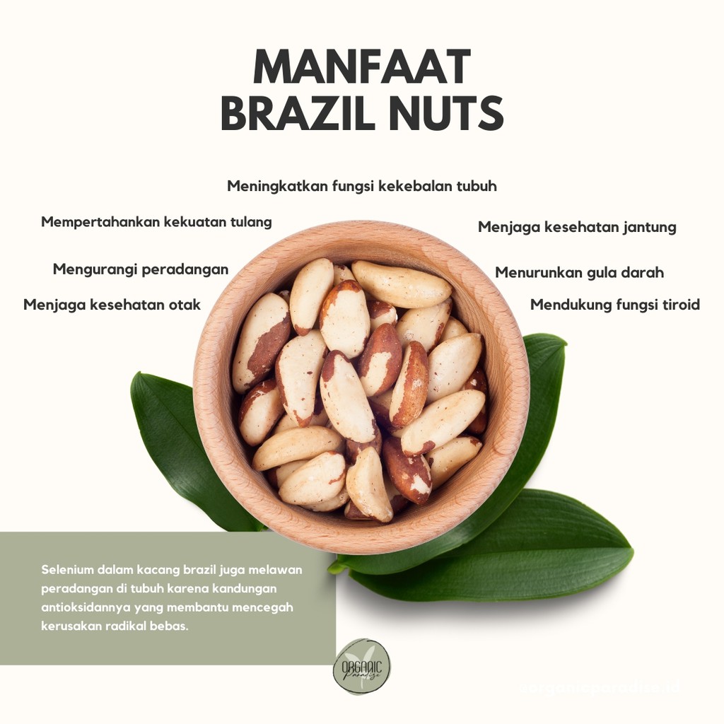 

QH Brazil Nut / Kacang Brazil 250 gram Premium Quality