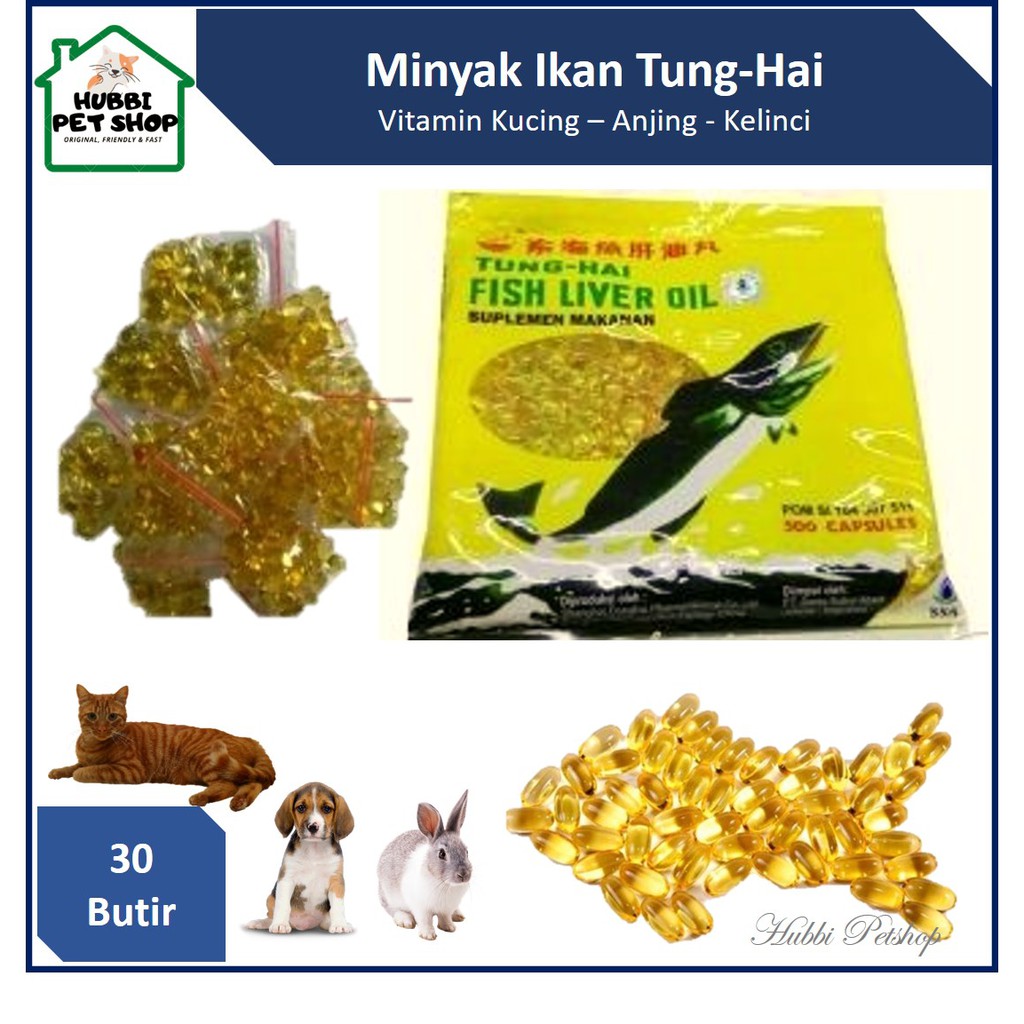 Vitamin Bulu Kucing Minyak Ikan 30 Butir Vitamin Kucing Anjing Kelinci Burung Ayam Iguana