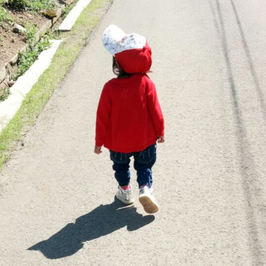 hadi.halili